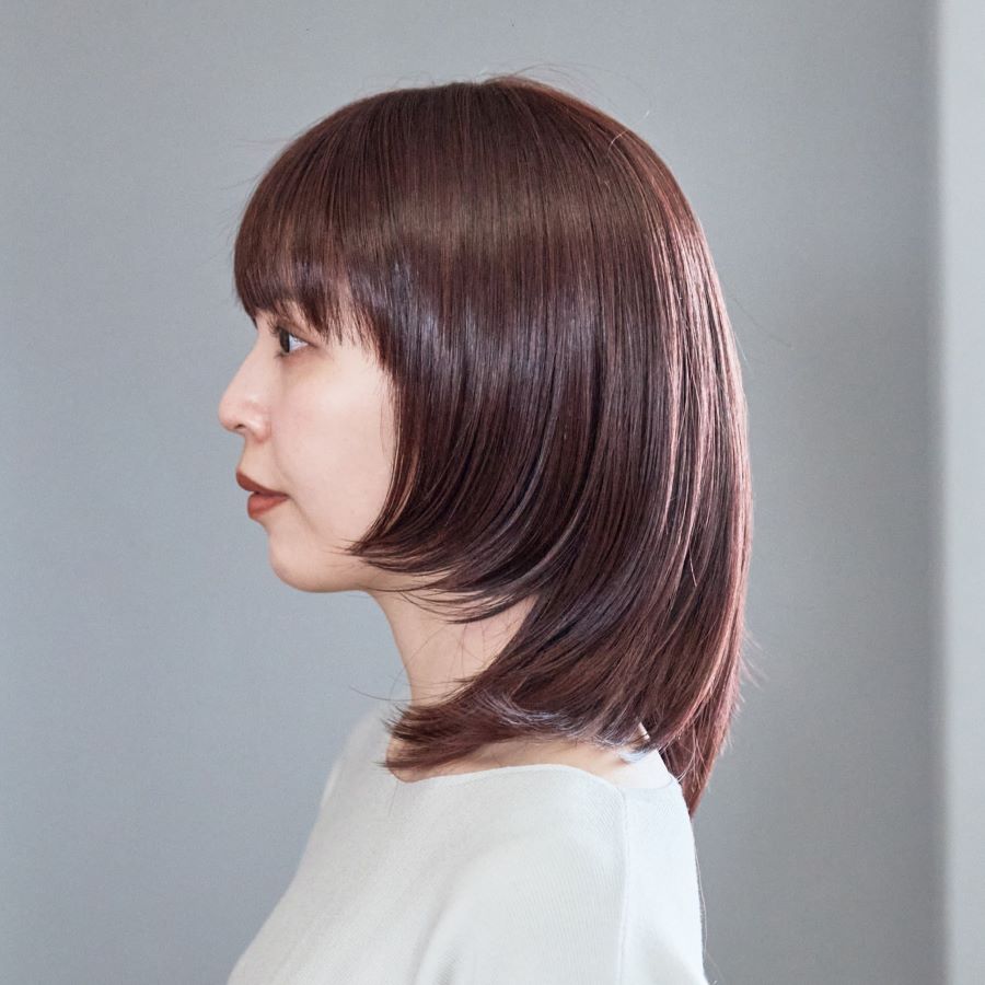 ルルレイヤーミディ