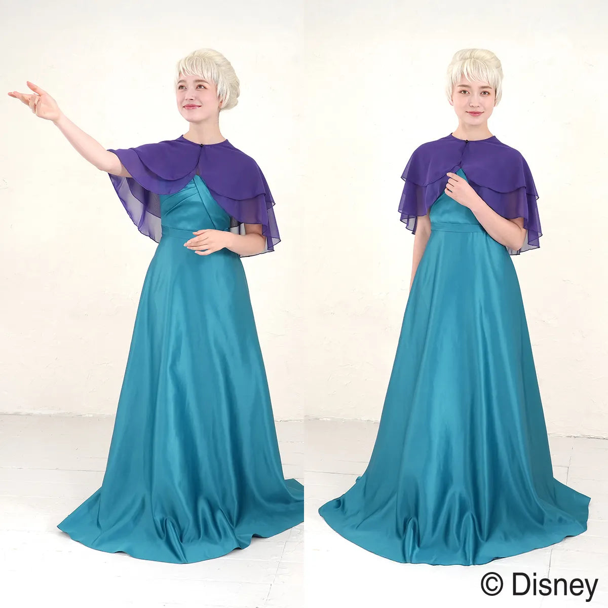 【Disney】アナと雪の女王（エルサ/Elsa）/ ウィッグ 戴冠式ver